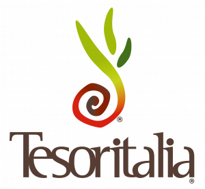 logo-illustrator-tesoritalia-hd-(senza-payoff)